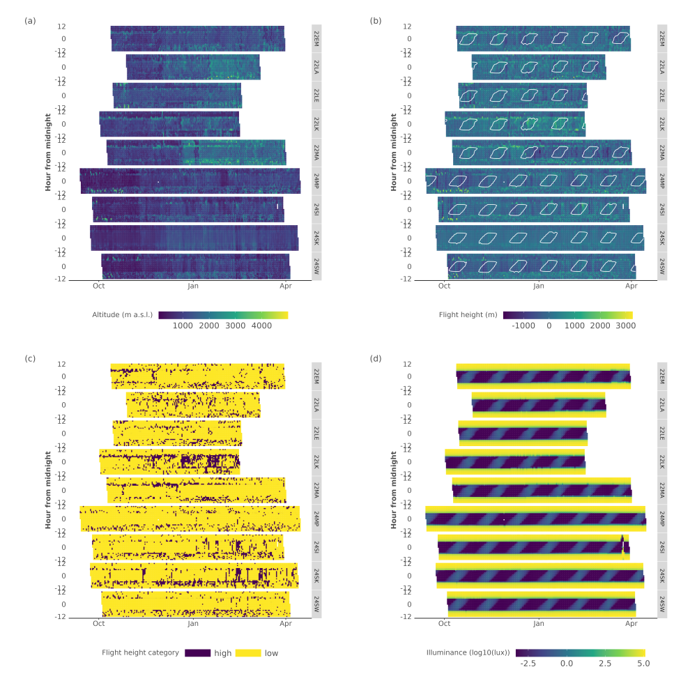 Figure S3. Overview plots (actograms) of Tachymarptis melba Multi Data Logger (MDL) data for flight altitudes (a), normalised flight heights (b) and the derived binary flight height classes (c). In addition, we provide the (log10) total illuminance for a given day (d). Data is shown for all MDL tags, with time centred on local midnight. Moon illuminance values outlining all values larger than 0.01 are contoured in panel (b).