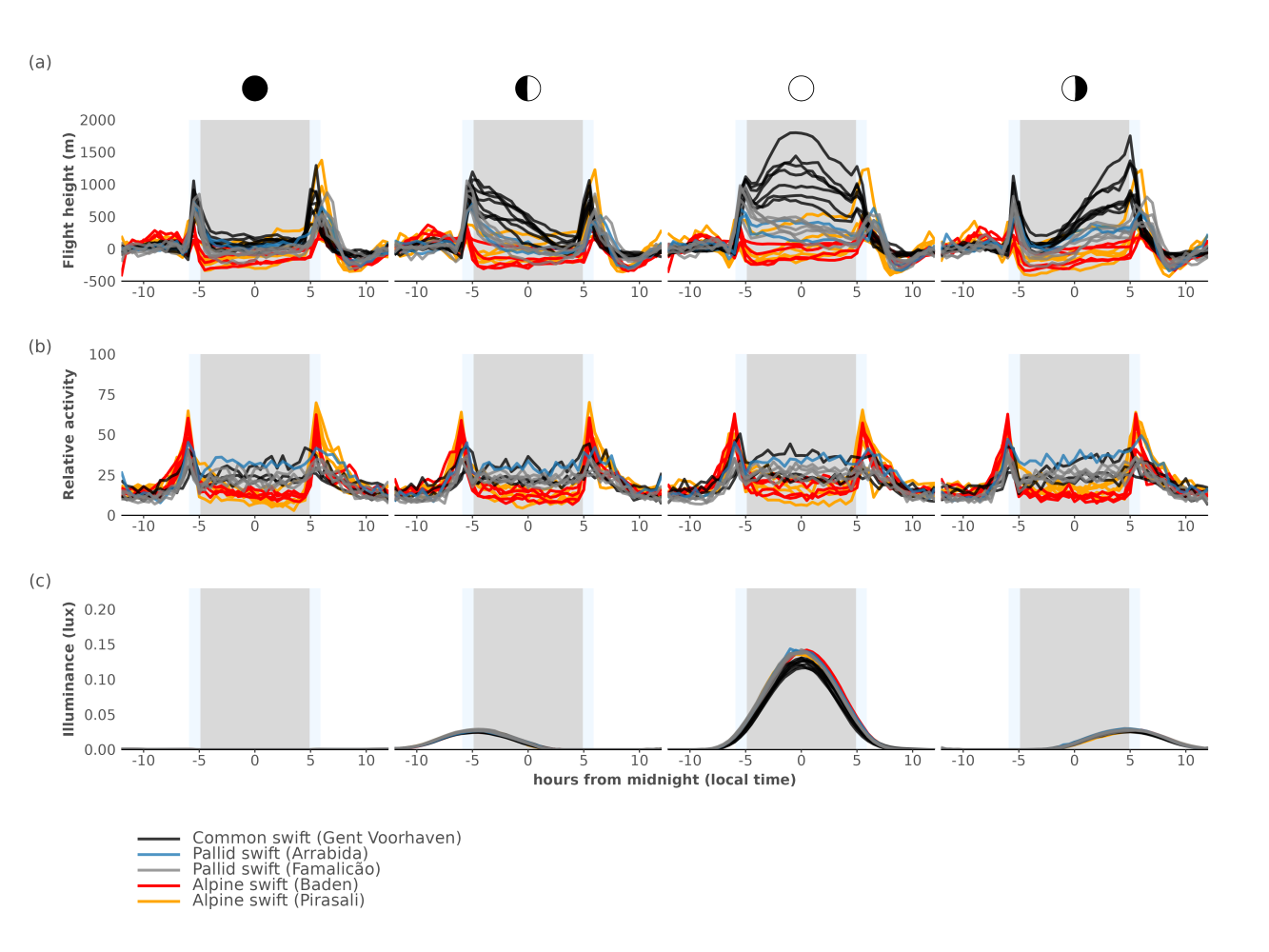 Figure S8. Average flight height (flight height in m, centred on a daytime mean of 0), the flight activity and derived moon illuminance (lux) centred on midnight during moon phases (a - c). Different sites and species are indicated by the colour of the full lines, different lines represent different tags. The grey rectangle in plots (a - c) indicate the average astronomical night, where light blue rectangles approximate twilight as mean dusk and dawn ± 1 sd, respectively.