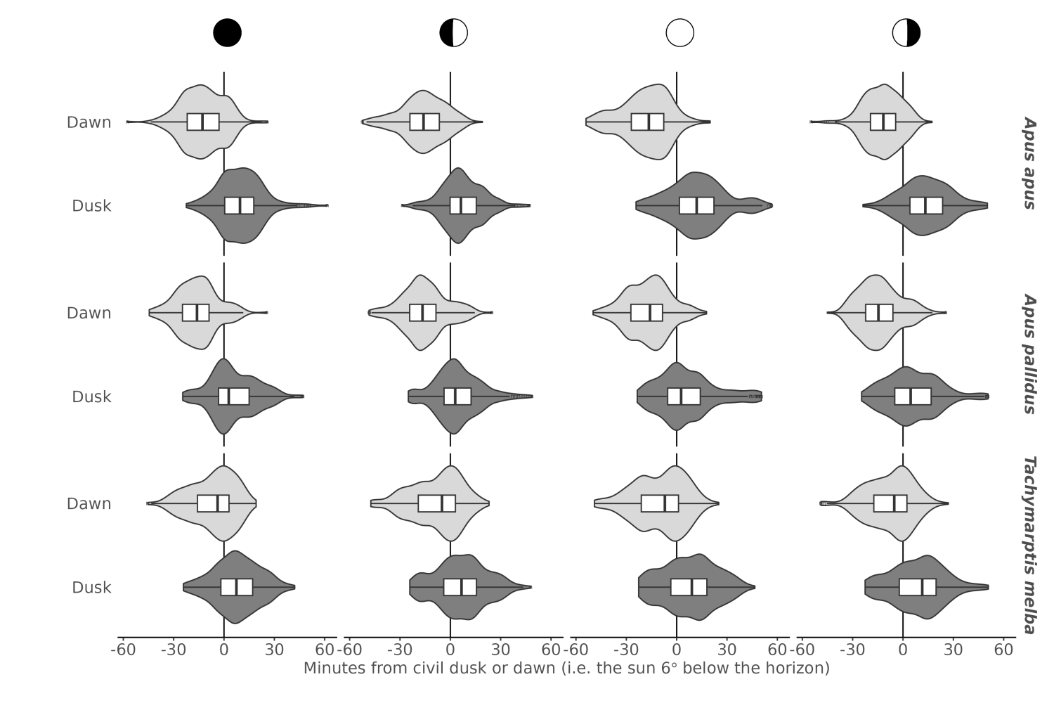 Figure S9. Box and violin plots of the distribution of the timing of maximum flight height during twilight, relative to civil dusk or dawn, by species and moon phase. The black vertical line at 0 indicates the timing of civil dusk or dawn. Values are expressed as minutes leading or lagging civil dusk or dawn events.